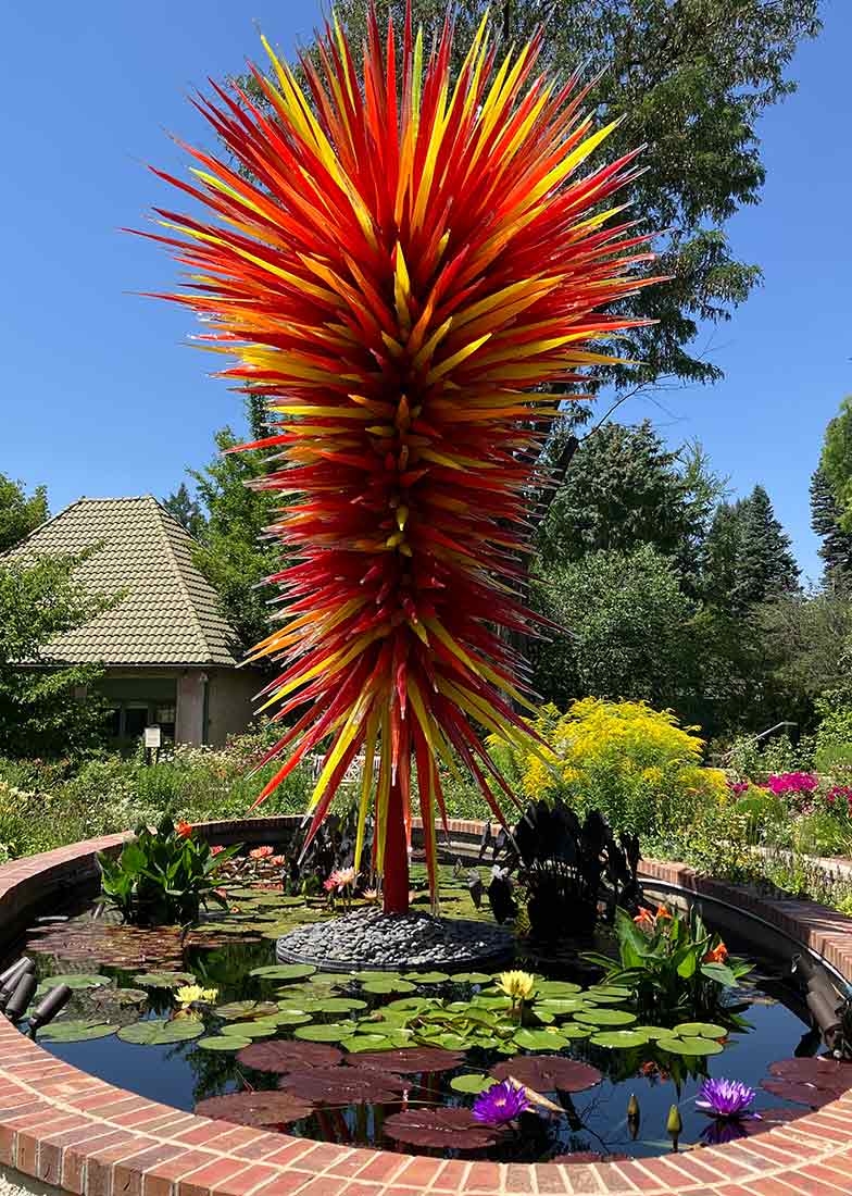 Orange and yellow Chihuly statue surrounded by waterlilies in the Ellipse garden pool