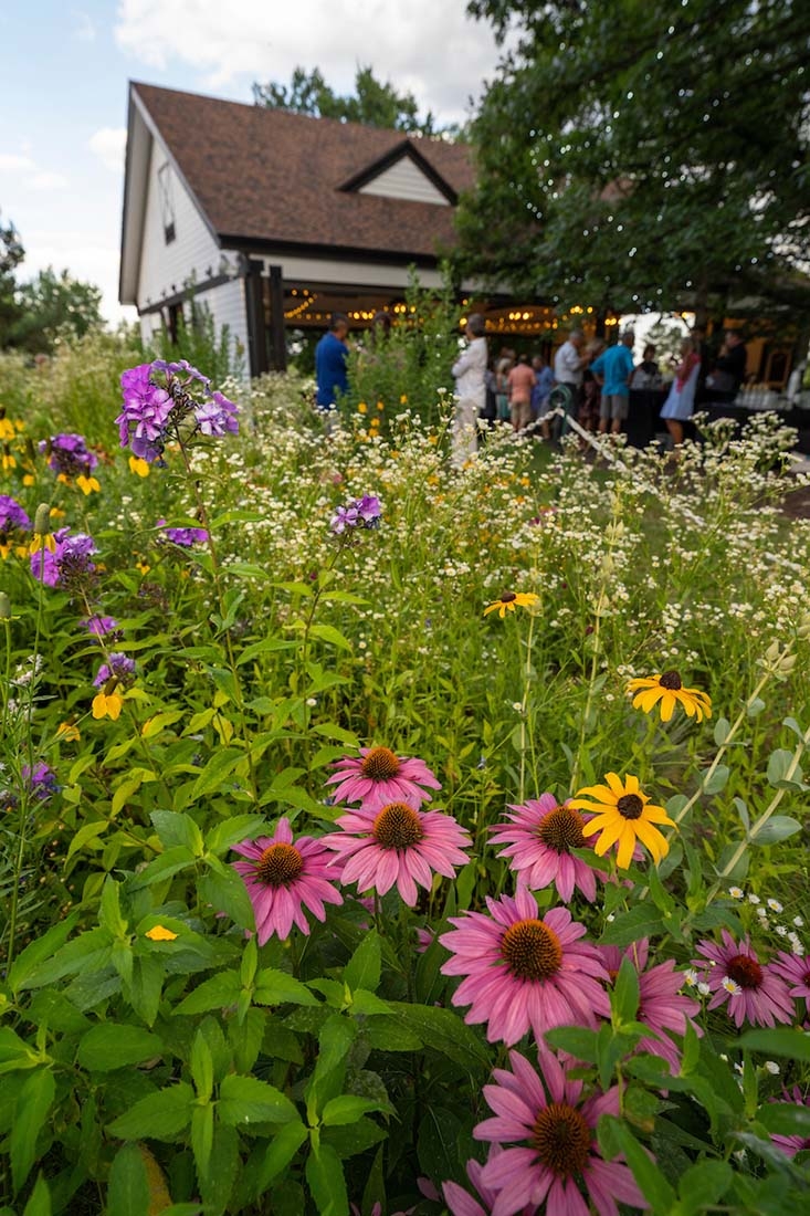 Flowers in forefront with white building in back