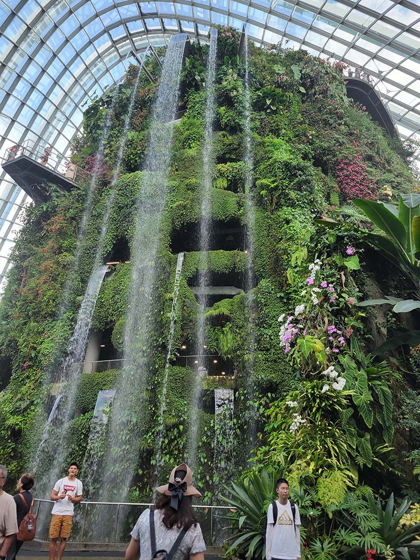 Towering cloud forest with waterfalls in conservatory
