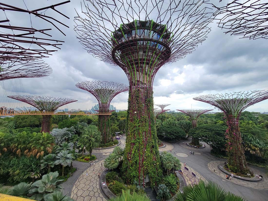 Fabricated supertrees in Gardens by the Bay