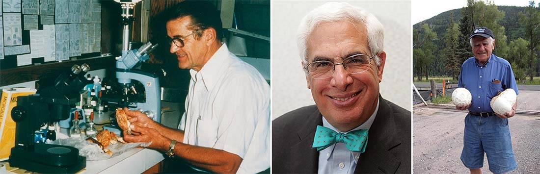 tryptic of three men one with microscope, one with bowtie, one with mushrooms