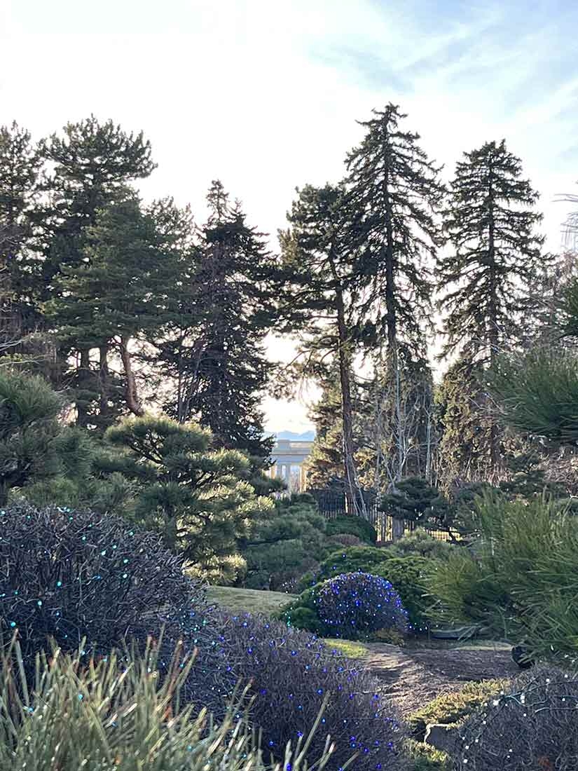 Boulders and pine trees in the foreground and mountains in the background