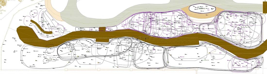 Map of Birds and Bees