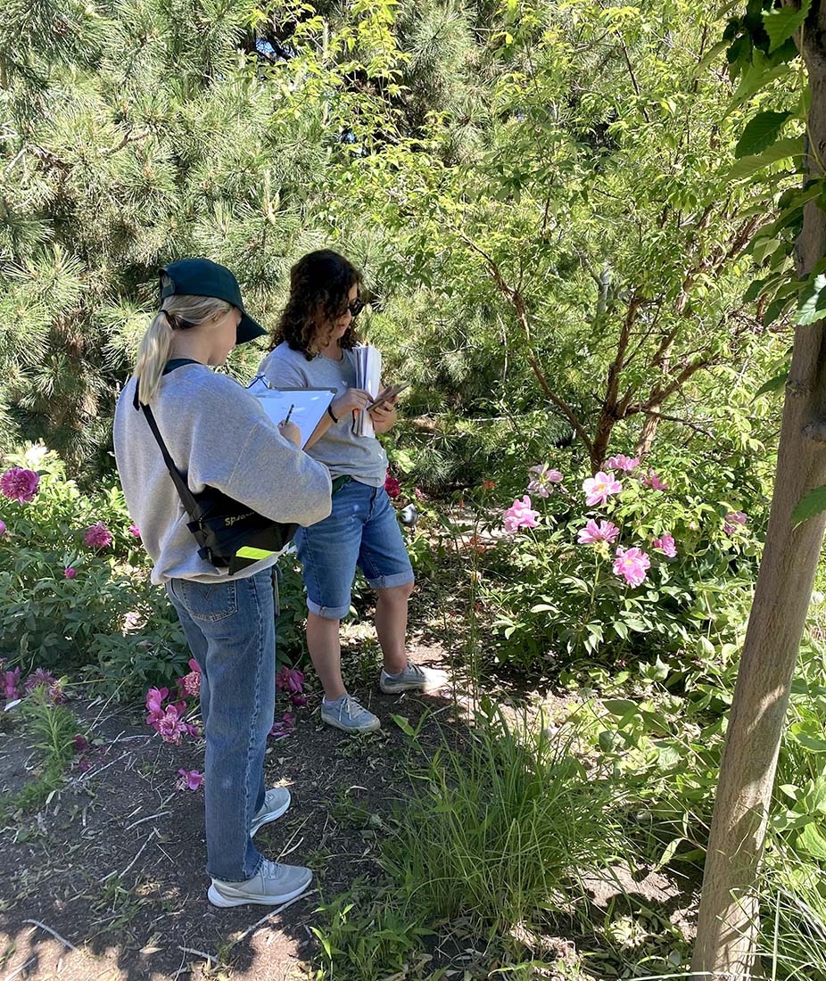 Two women standing in a shady garden evaluating plants