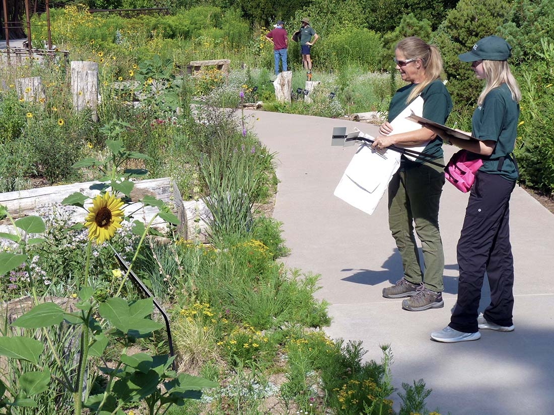 Two women standing on a sunny path evaluating plants