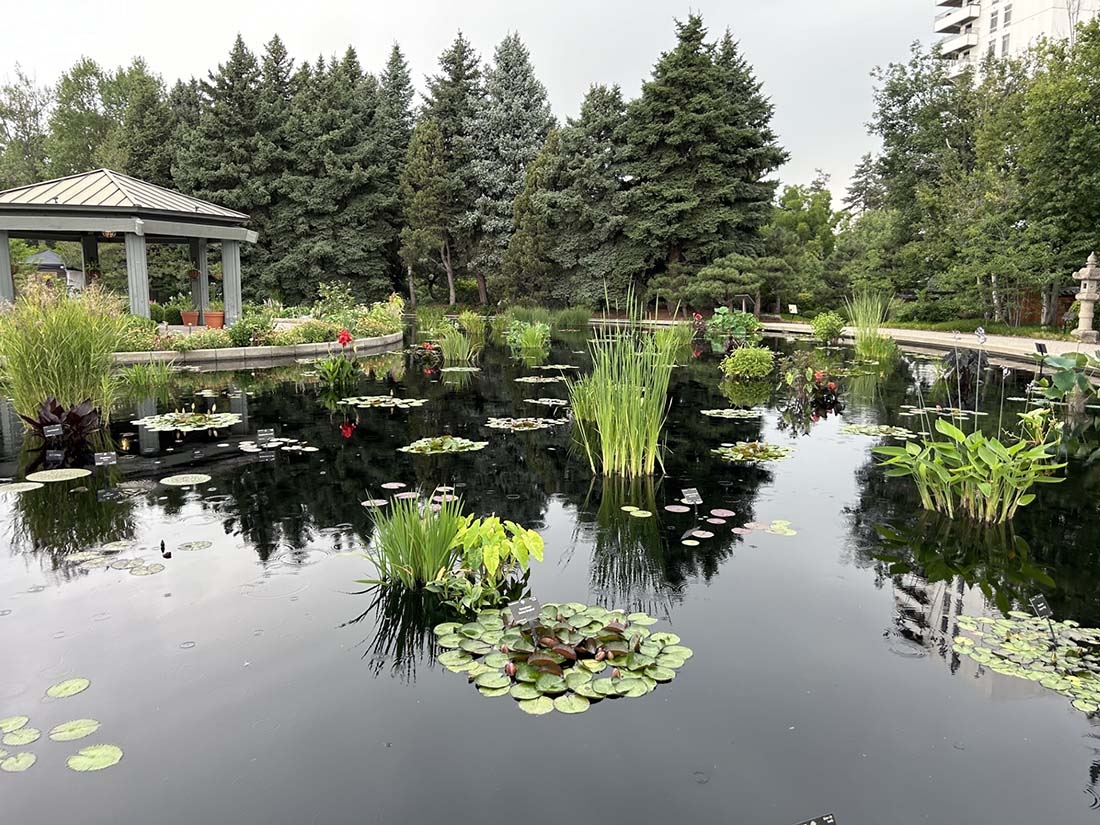 Monet Pool at Denver Botanic Gardens