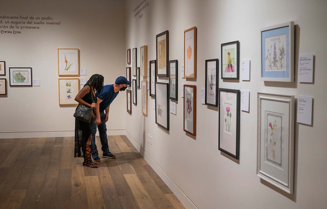 Two people looking at gallery art