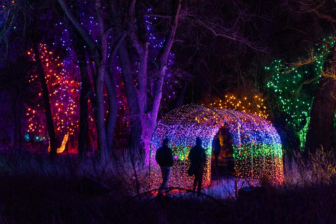 two people approaching holiday light tunnel