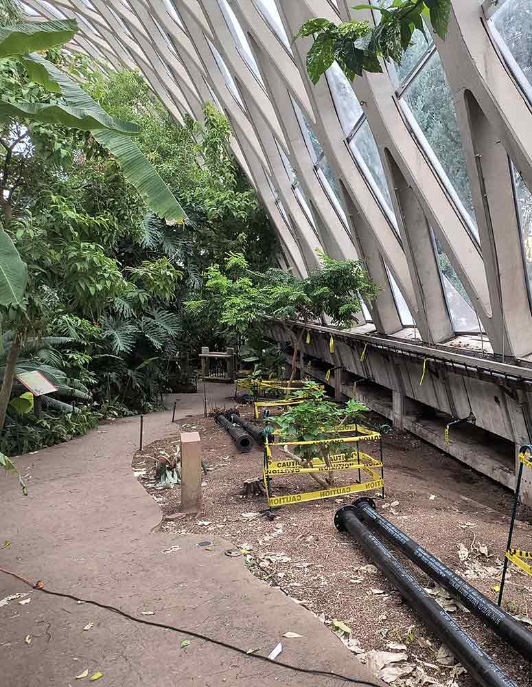 HVAC renovation in progress along south wall.