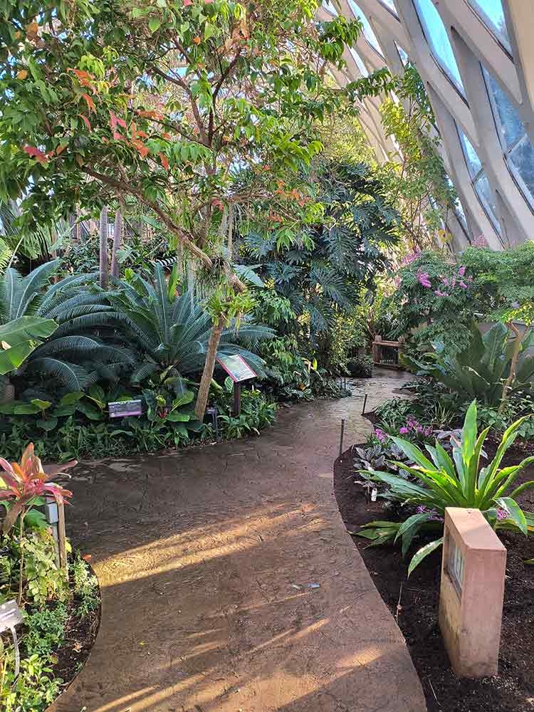 Replanted beds along south wall.