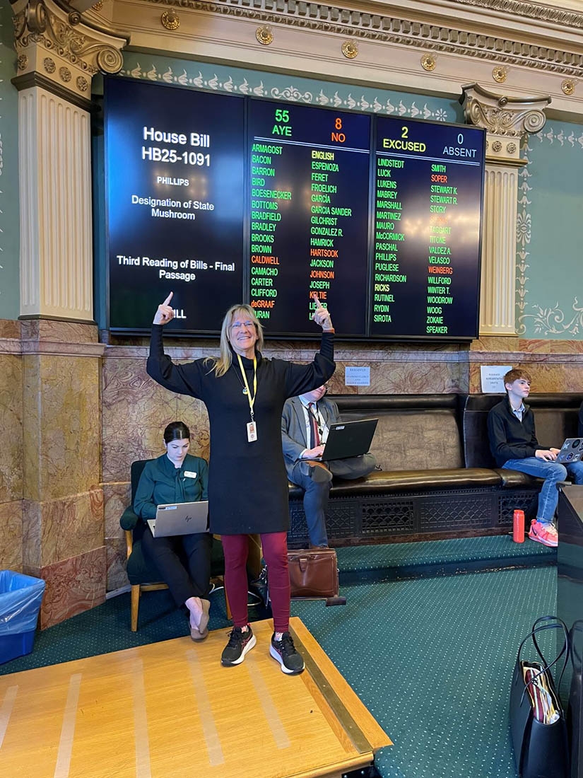 Rep Jacque Phillips standing in front of screen displaying House voting results