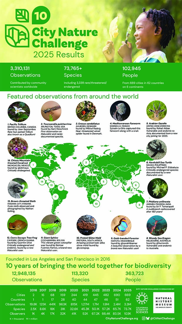 Infograph showing results of 2025 City Nature Challenge