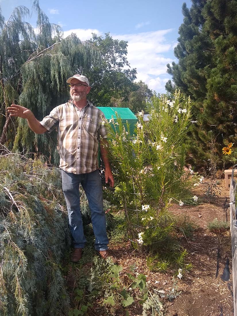 Man standing in garden