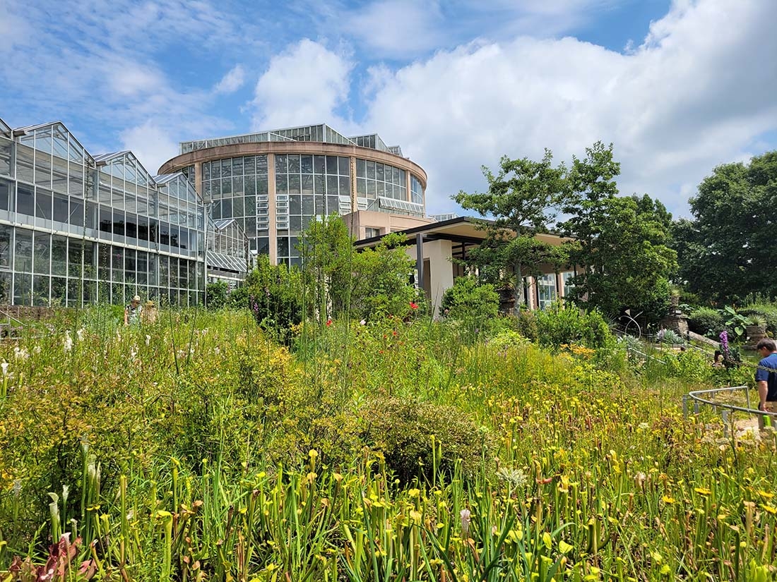 Atlanta Botanical Garden's Conservation Garden