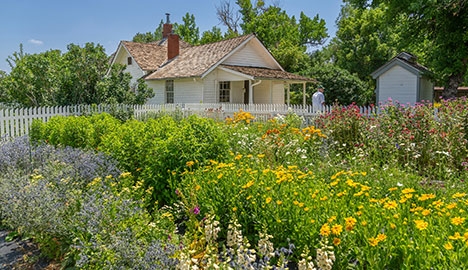 A field of flowers in the foreground with a building in the background