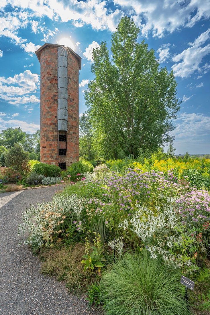 A field of flowers in the foreground with a silo and tree in the background