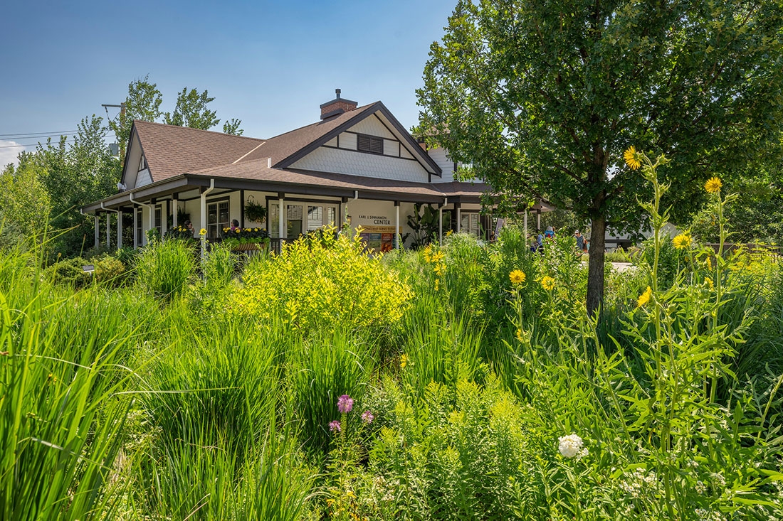 Prairie garden in the foreground with a building in the background