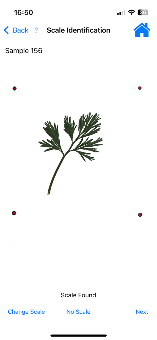 screenshot of a leaf being evaluated on a digital tool