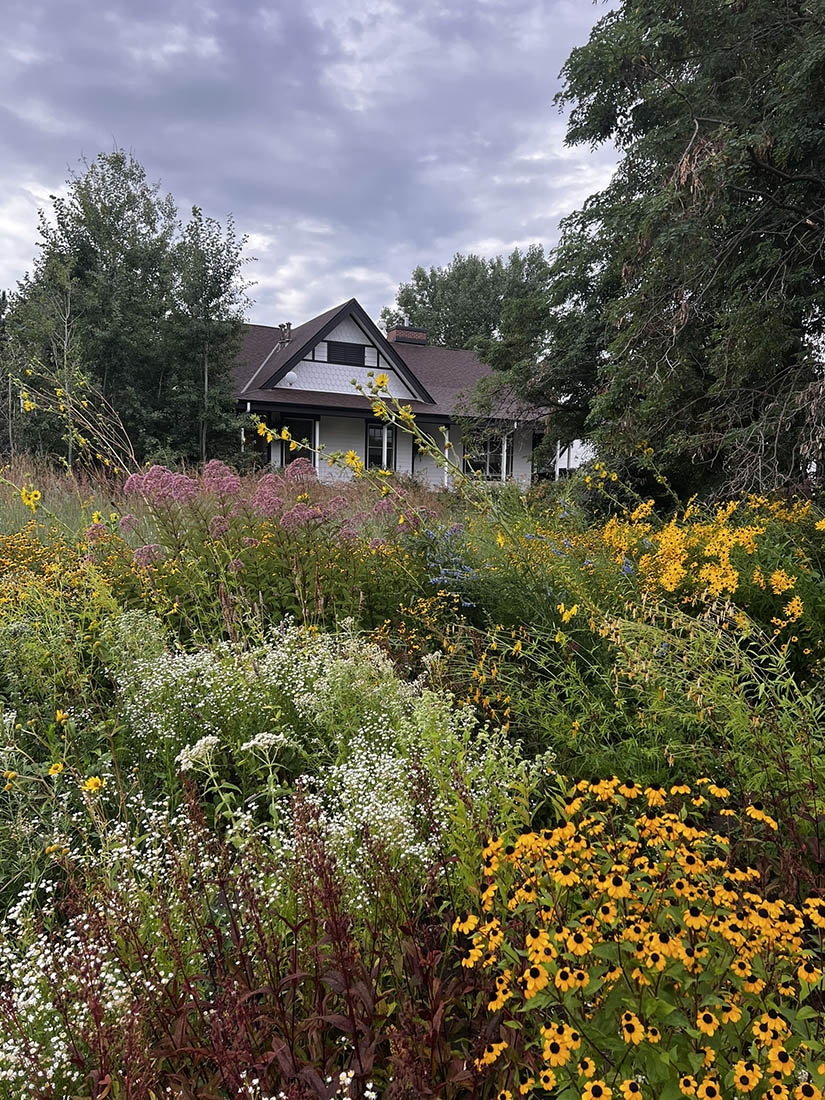 prairie garden with house in background