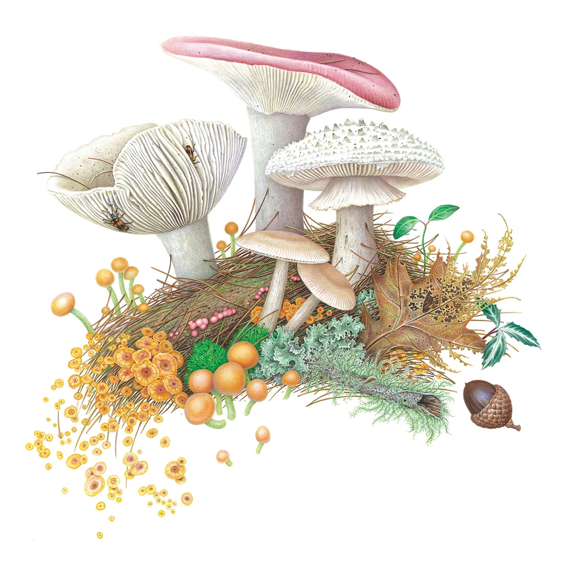 Karen Kluglein, “Magic,” watercolor on illustration board, 2023.