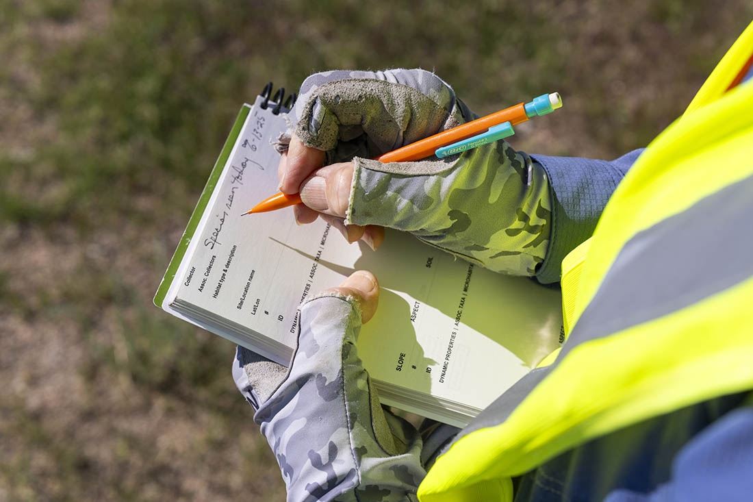close-up of person's hands making notes in field journal