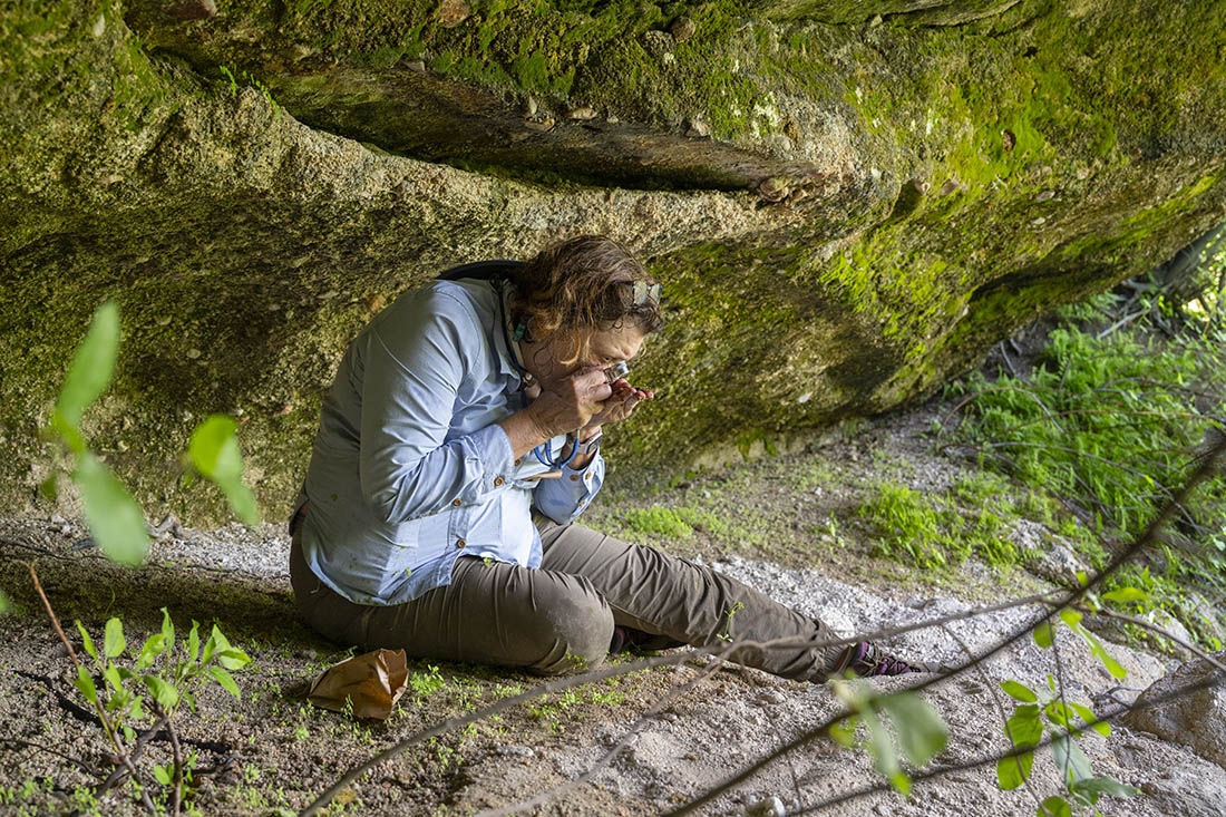 woman sits near mossy rock to peer at moss through hand-lens