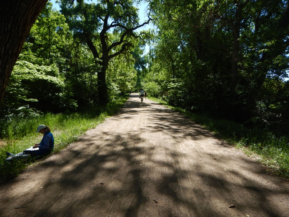 Southern shady section along the High Line Canal