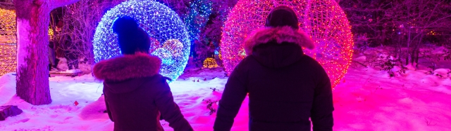 Engagements During BOL banner