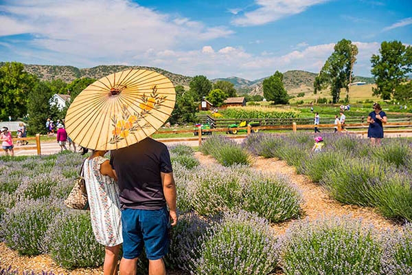 people with umbrella