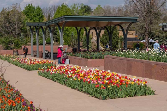 Pavilion and tulips with painter