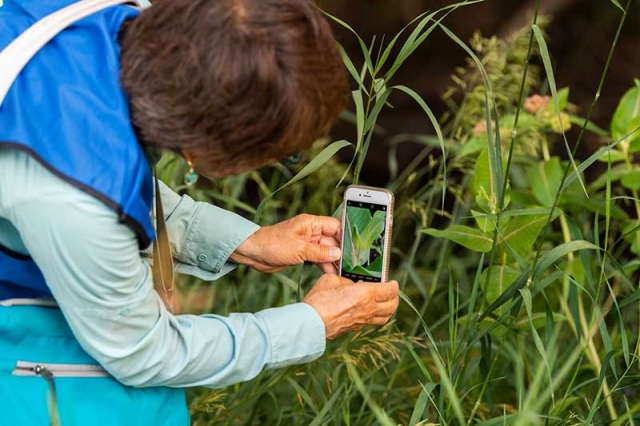 collecting data with an app