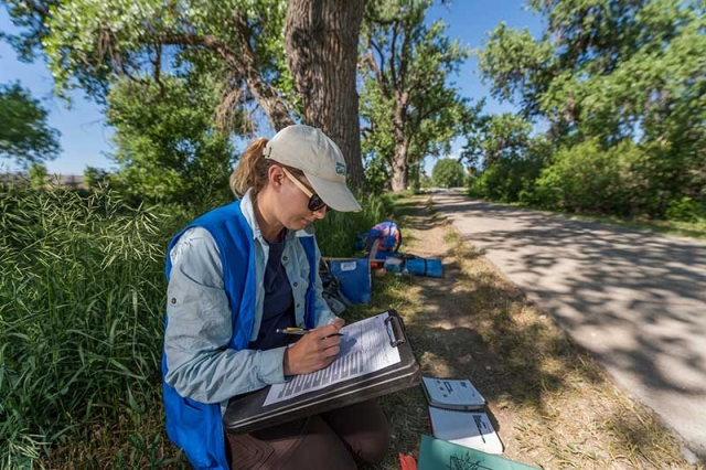ecological survey on High Line Canal