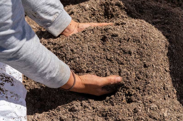 hands in soil mix