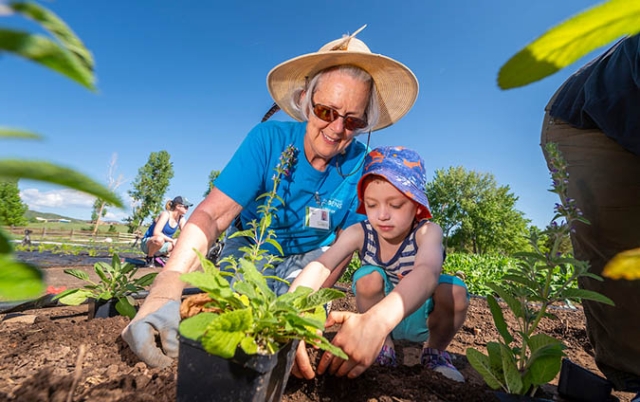 Volunteer and child gardening
