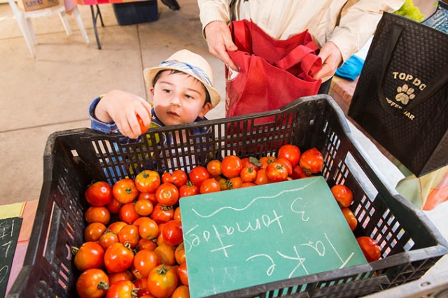 little boy reaching for tomaotoes