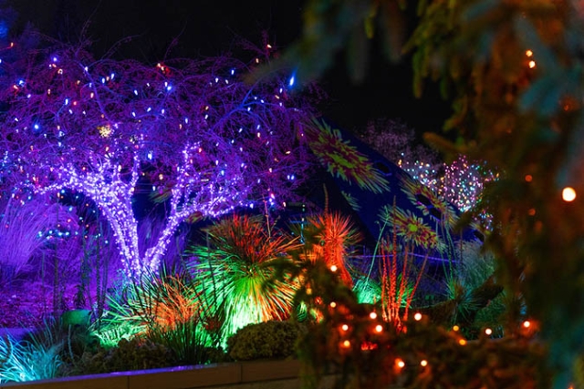 Science Pyramid projections