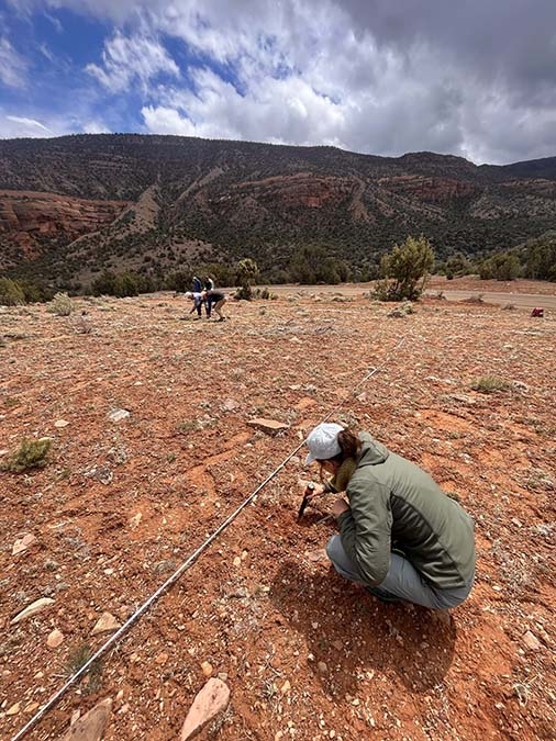 Scientists monitoring plant populations