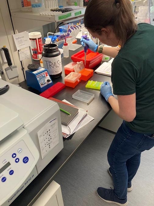 Prep in genetics lab