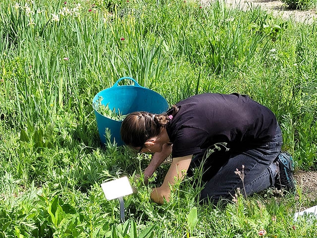 scientist records data