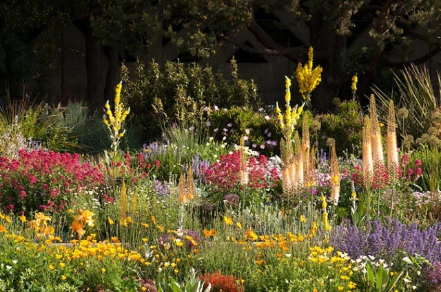 Roads Water-Smart Garden