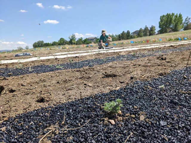 land plot part of experiment