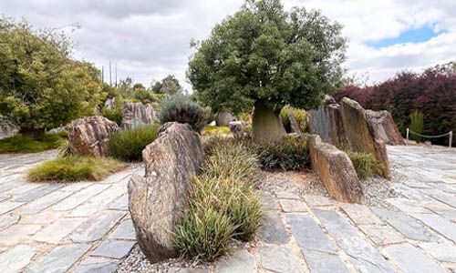 Native plants garden with paving stones and standing rocks