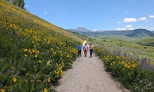 Three people in a distance walk a wildflower-lined path