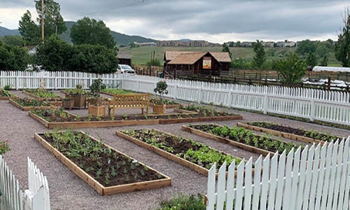 raised garden beds in a white picket fence with barn and mountains in distance