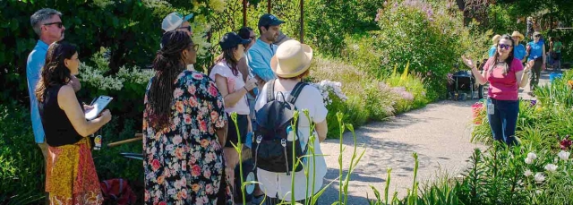A group of people on a guided tour outside in a garden