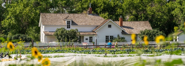 White farmhouse with a white picket fence in the background and vegetables growing in the foreground.