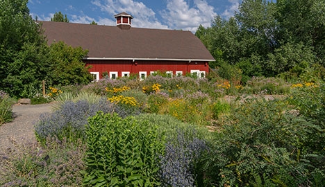 Red barn in the background with a native plant garden in the foreground.