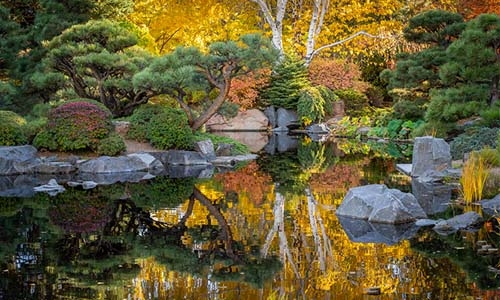 Fall Japanese Garden thumbnail