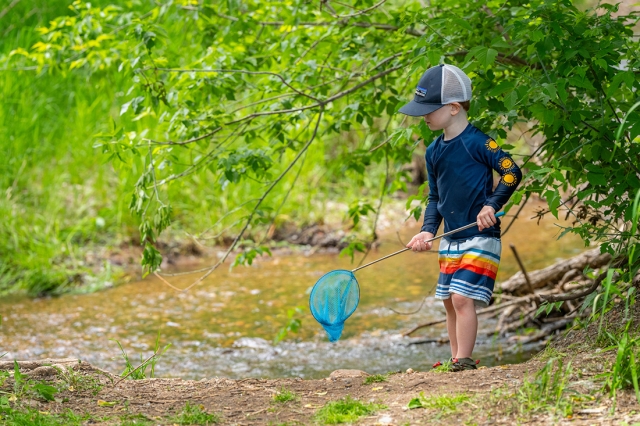 Child standing in a creek holding a net, trying to catch something