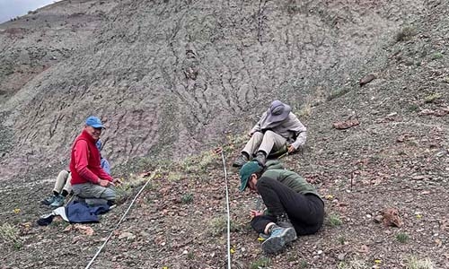 researchers on a rocky slope measuring distance between plants